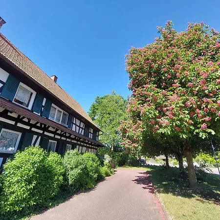 Vakantiehuis Familien- Am Rinnbach Rheinau