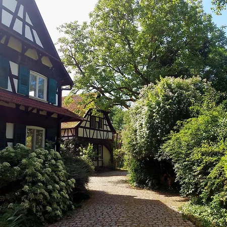 Familien- Am Rinnbach * Rheinau