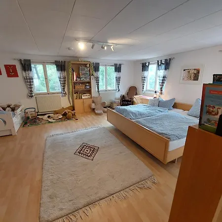 Familien- Am Rinnbach Vakantiehuis Rheinau